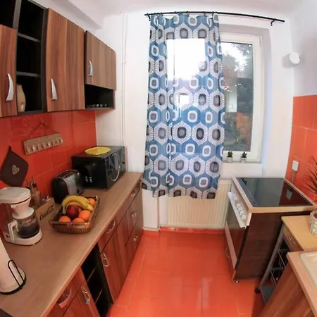 Rox 5 * Temeşvar